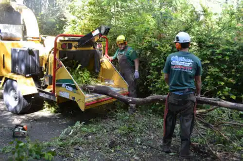 tree services Koontz Lake